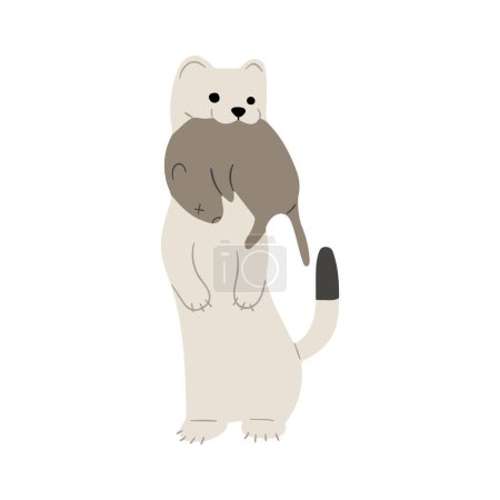 Illustration for Stoats,ermine and weasels cute single 5 on a white background, vector illustration. Stoats have a long, thin body with a tail that ends in a bushy black tip. Their fur is sandy-brown to chestnut with white-cream underparts, Some stoats turn completel - Royalty Free Image