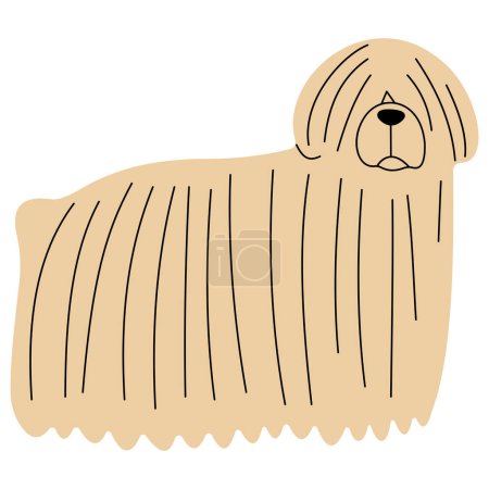 Puli cute on a white background, vector illustration.