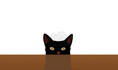 schwarze Katze schaut unter den Tisch