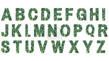 Alphabet letters with leaf motif
