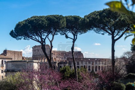 Foto de The Colosseum, originally known as the Flavian Amphitheater or simply Amphitheatrum, is the largest Roman amphitheater in the world. - Imagen libre de derechos