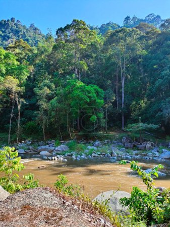 Chamang River in Pahang, Malaysia, is a nature masterpiece, the majestic river, born from cascading waterfalls, adorned with lush jungle vistas, a haven for recreation, a magnet for tourists' delight.