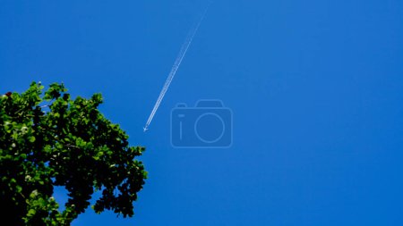 A Plane's Trail Over Green Tree