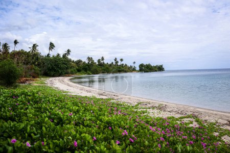 Flores Inseln Ocean Tropical Beach