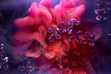 Photo for Abstract purple pink background with flowers and paints in water. Backdrop for perfume, cosmetic products - Royalty Free Image