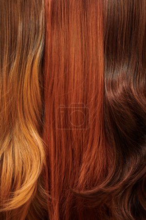 Téléchargez les photos : Gros plan texture colorée ensemble de cheveux. tonique différentes nuances de brins fond - en image libre de droit