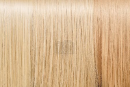 Téléchargez les photos : Gros plan texture cheveux teints sable blond, ton sur ton échantillons fond - en image libre de droit