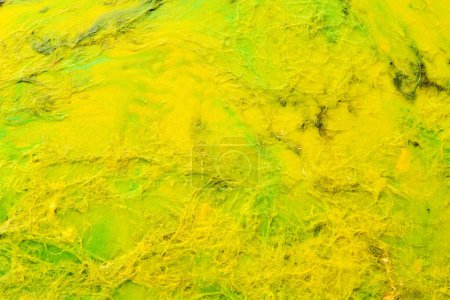 Photo for Multicolored creative abstract background. Texture of acrylic paint. Stains and blots of alcohol ink yellow colors, fluid ar - Royalty Free Image
