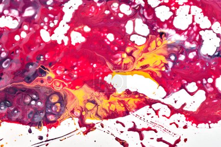 Foto de Pinta gotas y salpicaduras sobre papel blanco. Explosión multicolor, rosa rojo magenta tinta borra fondo abstracto, arte fluido - Imagen libre de derechos