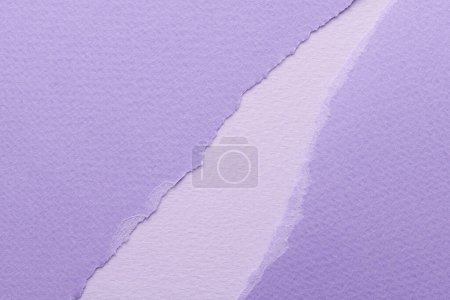 Photo for Art collage of pieces of ripped paper with torn edges. Sticky notes collection lilac colors, shreds of notebook pages. Abstract backgroun - Royalty Free Image