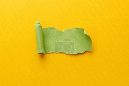 Photo for Art collage of pieces of ripped paper with torn edges. Sticky notes collection yellow green colors, shreds of notebook pages. Abstract backgroun - Royalty Free Image
