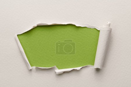 Photo for Frame of ripped paper with torn edges. Window for text with copy space green white colors, shreds of notebook pages. Abstract backgroun - Royalty Free Image