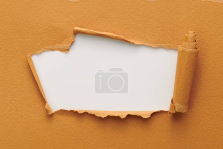 Photo for Frame of ripped paper with torn edges. Window for text with copy space brown white colors, shreds of notebook pages. Abstract backgroun - Royalty Free Image
