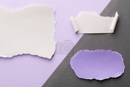 Photo for Art collage of pieces of ripped paper with torn edges. Sticky notes collection lilac gray white colors, shreds of notebook pages. Abstract backgroun - Royalty Free Image
