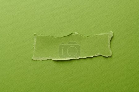 Foto de Collage de arte de piezas de papel rasgado con bordes rotos. Notas pegajosas colección de colores verdes, fragmentos de páginas de cuaderno. Fondo abstracto - Imagen libre de derechos