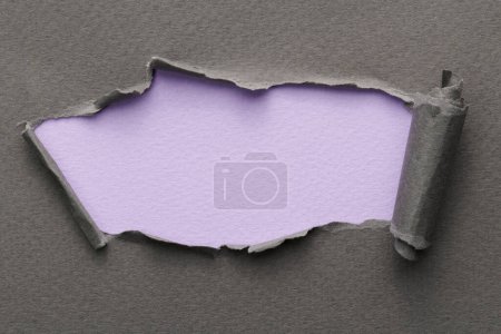 Photo for Frame of ripped paper with torn edges. Window for text with copy space lilac grey colors, shreds of notebook pages. Abstract backgroun - Royalty Free Image