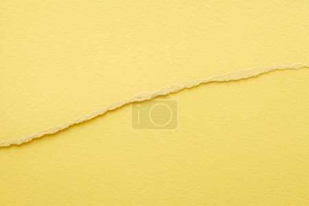 Photo for Art collage of pieces of ripped paper with torn edges. Sticky notes collection yellow colors, shreds of notebook pages. Abstract backgroun - Royalty Free Image