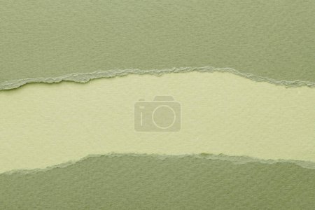 Foto de Collage de arte de piezas de papel rasgado con bordes rotos. Notas pegajosas colección de colores verdes, fragmentos de páginas de cuaderno. Fondo abstracto - Imagen libre de derechos