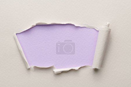 Photo for Frame of ripped paper with torn edges. Window for text with copy space lilac white colors, shreds of notebook pages. Abstract backgroun - Royalty Free Image