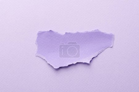 Photo for Art collage of pieces of ripped paper with torn edges. Sticky notes collection lilac colors, shreds of notebook pages. Abstract backgroun - Royalty Free Image