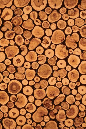 Foto de Fondo decorativo de madera de tronco. Superficie texturizada con anillos, rodajas de tronco de árbol - Imagen libre de derechos