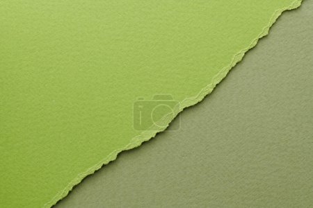Photo for Art collage of pieces of ripped paper with torn edges. Sticky notes collection green colors, shreds of notebook pages. Abstract backgroun - Royalty Free Image