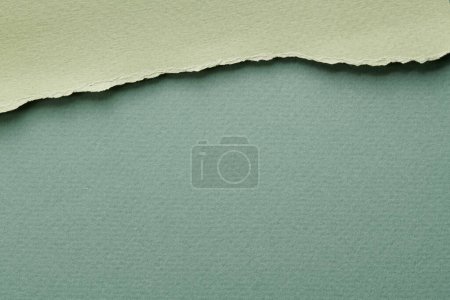 Téléchargez les photos : Collage d'art de morceaux de papier déchiré aux bords déchirés. Collection de notes collantes couleurs vertes, lambeaux de pages de cahier. Backgroun abstrait - en image libre de droit