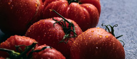 Foto de Tomates rojos frescos aislados sobre fondo negro. Verduras ecológicas, cosecha estacional - Imagen libre de derechos