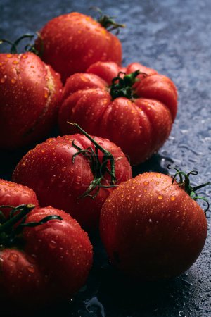 Photo for Red fresh tomatoes isolated on black background. Eco organic vegetables, seasonal harvest - Royalty Free Image
