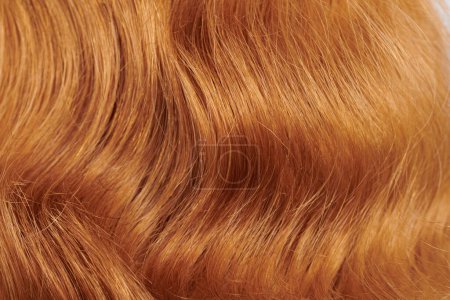 Photo for Close-up view of natural shiny fair hair, bunch of ginger curls background - Royalty Free Image