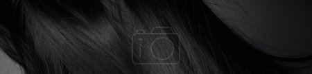 Photo for Close-up view of natural shiny dark hair, bunch of black brunette curls background - Royalty Free Image