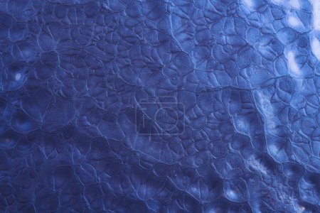 Photo for Creative blue color backdrop, fluid art. Abstract acrylic print backgroun - Royalty Free Image