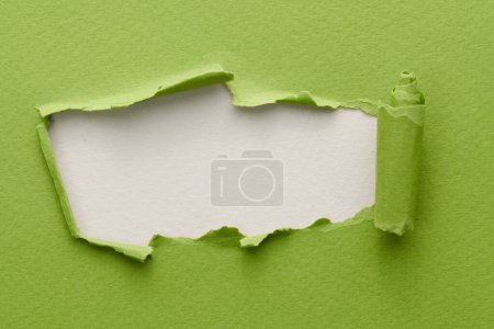 Photo for Frame of ripped paper with torn edges. Window for text with copy space green white colors, shreds of notebook pages. Abstract backgroun - Royalty Free Image