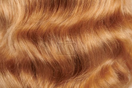 Photo for Close-up view of natural shiny hair, bunch of fair blonde curls background - Royalty Free Image