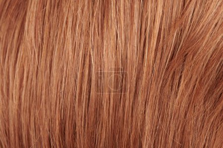 Foto de Vista de cerca del cabello natural brillante y rubio oscuro, fondo de rizos rubios - Imagen libre de derechos