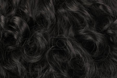 Téléchargez les photos : Vue rapprochée de cheveux noirs brillants naturels, bouquet de boucles brunes noires fond - en image libre de droit
