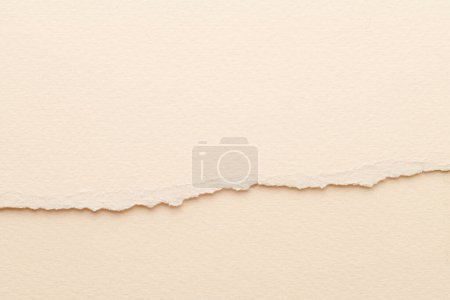 Photo for Art collage of pieces of ripped paper with torn edges. Sticky notes collection beige colors, shreds of notebook pages. Abstract backgroun - Royalty Free Image