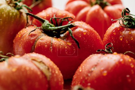 Photo for Red fresh tomatoes isolated on white background. Eco organic vegetables, seasonal harvest - Royalty Free Image