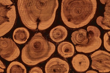 Téléchargez les photos : Fond décoratif en bois rond. Surface texturée avec anneaux, troncs d'arbres - en image libre de droit