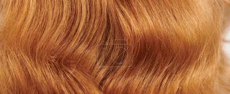 Foto de Vista de cerca del cabello natural brillante y rubio, fondo de rizos de jengibre - Imagen libre de derechos