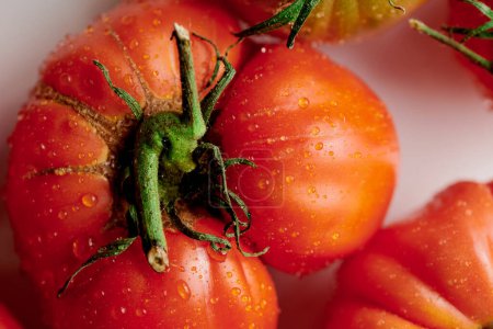 Foto de Tomates rojos frescos aislados sobre fondo blanco. Verduras ecológicas, cosecha estacional - Imagen libre de derechos