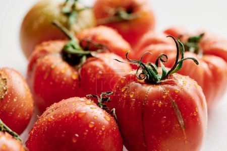 Téléchargez les photos : Tomates rouges fraîches isolées sur fond blanc. Légumes bio, récolte saisonnière - en image libre de droit