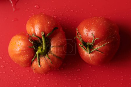 Foto de Tomates rojos frescos aislados sobre fondo rojo. Verduras ecológicas, cosecha estacional - Imagen libre de derechos