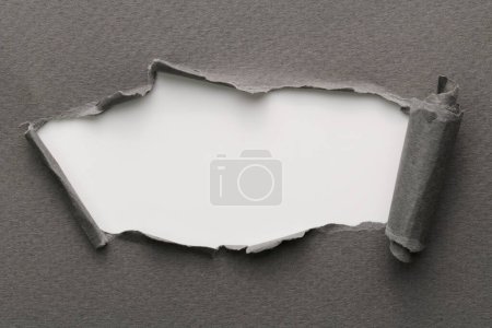 Photo for Frame of ripped paper with torn edges. Window for text with copy space gray white colors, shreds of notebook pages. Abstract backgroun - Royalty Free Image