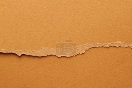 Photo for Art collage of pieces of ripped paper with torn edges. Sticky notes collection brown colors, shreds of notebook pages. Abstract backgroun - Royalty Free Image