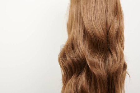 Téléchargez les photos : Cheveux naturels brillants, boucles brunes isolées sur fond blanc avec espace de copie - en image libre de droit