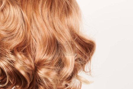 Téléchargez les photos : Cheveux naturels brillants, boucles brunes isolées sur fond blanc avec espace de copie - en image libre de droit