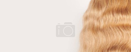 Foto de Cabello brillante de aspecto natural, rizos rubios claros aislados sobre fondo blanco con espacio para copiar - Imagen libre de derechos