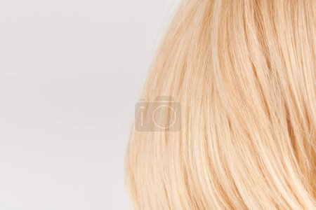 Photo for Natural looking shiny hair, fair blonde curls isolated on white background with copy space - Royalty Free Image