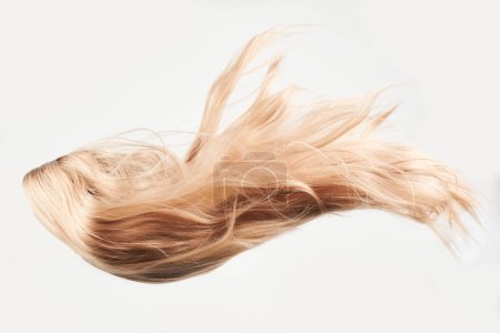 Téléchargez les photos : Cheveux naturels brillants, belles boucles blondes isolées sur fond blanc avec espace de copie - en image libre de droit